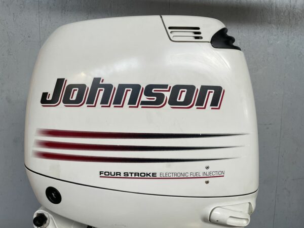 Johnson DF90/115