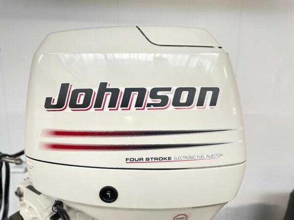 Johnson/Suzuki F70
